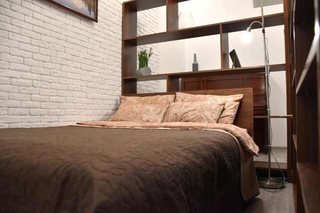 Апартаменты New spacious central apartment Львов-43